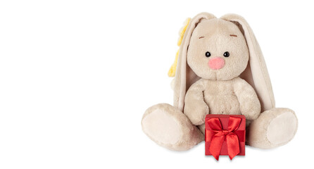 Toy rabbit with a gift isolated on a white background.