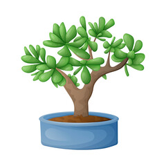 Vector isolated cartoon illustration of home potted succulent jade bonsai plant.