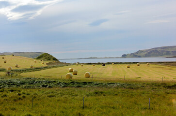 Obraz premium la moisson est terminée