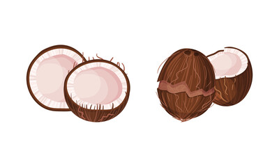 Halved Coconut with Hard Shell and Fibrous Husk Showing White Inner Flesh Vector Set