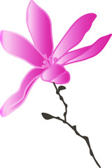 Naklejka premium vector patterns of magnolia flowers with branches and leaves. Botanical illustration for wallpaper, textile, fabric, clothing, paper, postcards