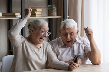 Happy laughing euphoric middle aged old married family couple looking at smartphone screen, reading...