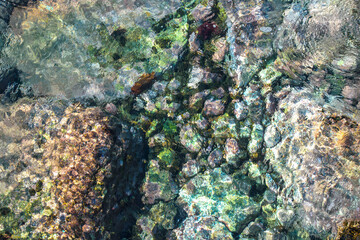 stones under clear water, background or texture