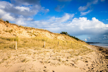Sand dune and fence on a beach, Re Island, France
