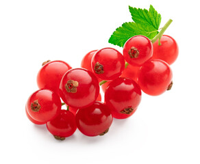 Red currant berries with leaf isolated on white background. Clipping path.