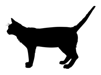 silhouette of a cat vector