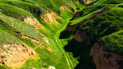 Canyon cliffs mountains green grass top view