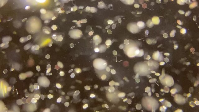 Abstract motion gold silver background shining particles. Shimmering Glittering Particles With Bokeh. Popular, modern, christmas, new year, holliday, wedding background