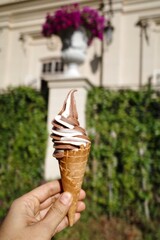soft serve ice cream in a waffle cone - 479398043