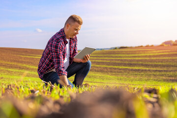 Farmer using tablet computer in a field - obrazy, fototapety, plakaty