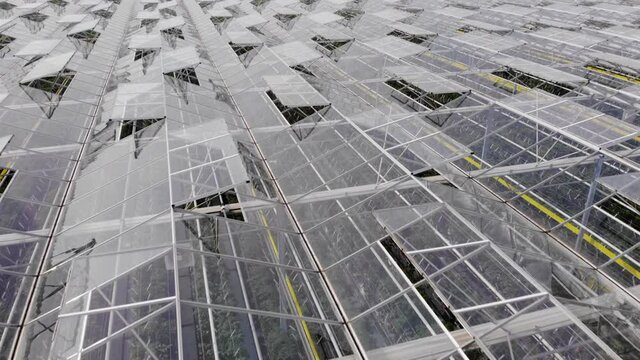 Greenhouse With Transparent Glass Roof Aerial View Flying Over Large Greenhouse With Vegetables. Modern High-tech Greenhouse View From Above. Aerial View Large Industrial Technology Greenhouses.