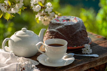 Tea set, pudding, cherry blossom branches, wooden table. Outdoor breakfast, picnic, brunch, spring mood