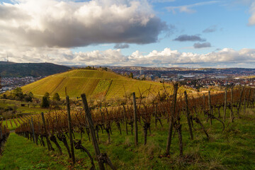 Naklejka premium Autumn view 