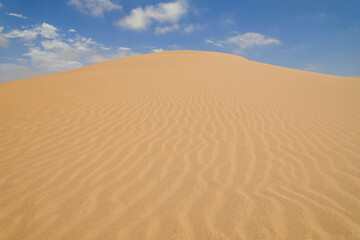 Fototapeta na wymiar Yellow sand dunes with wavy textures against a blue sky in Swakopmund