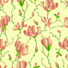 vector seamless patterns of magnolia flowers with branches and leaves. Botanical illustration for wallpaper, textile, fabric, clothing, paper, postcards