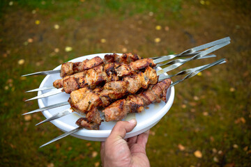 Skewer with shish kebab on a white plate. The waiter's hand holds a dish of fried meat.
