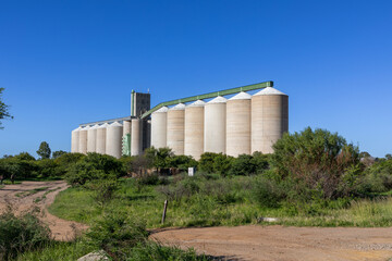 Fototapeta na wymiar Concrete grain silos in the field with a clear blue sky