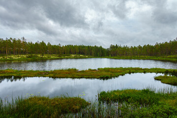 Small lake in a forest in northern Sweden