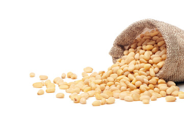 Siberian, Peeled pine nuts in burlap bag isolated on white background. Healthy nuts snacks....