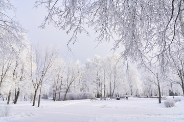 Fototapeta na wymiar An incredible winter park during a heavy snowfall. Weather for a walk in the park