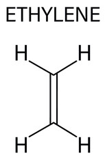 Ethylene or ethene molecule. Used in production of polyethylene but also important as a plant hormone. Skeletal formula.