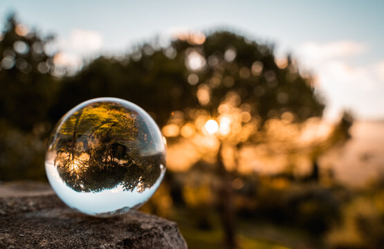 Bola de cristal aislada en un extremo y arboles reflejados en un atardecer que nos deja ver la sombra de estos