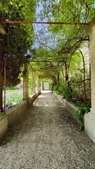 JARDINS DE L'ABBAYE VILLENEUVE LES AVIGNON (Gard)