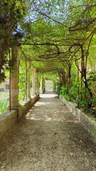 JARDINS DE L'ABBAYE VILLENEUVE LES AVIGNON (Gard)