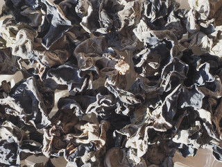 Chinese black fungus (Auricularia auricula judae) mushroom veget