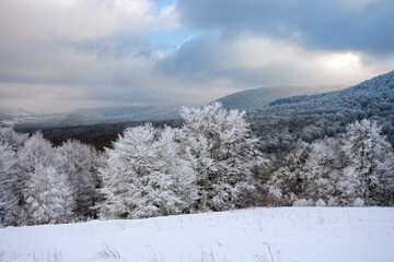 Bieszczady Mountains, Bieszczady National Park, Carpathians Mountains, Poland and Ukraine