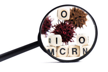 bacteria OMICRON and the word OMICRON made up of cubes are visible through a magnifying glass.