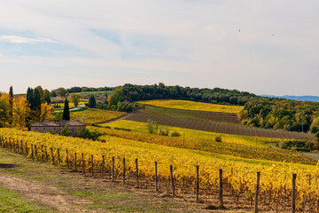 autumn in the Sienese Chianti