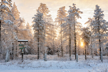 Winter Schnee Landschaft im Wald mit SOnne