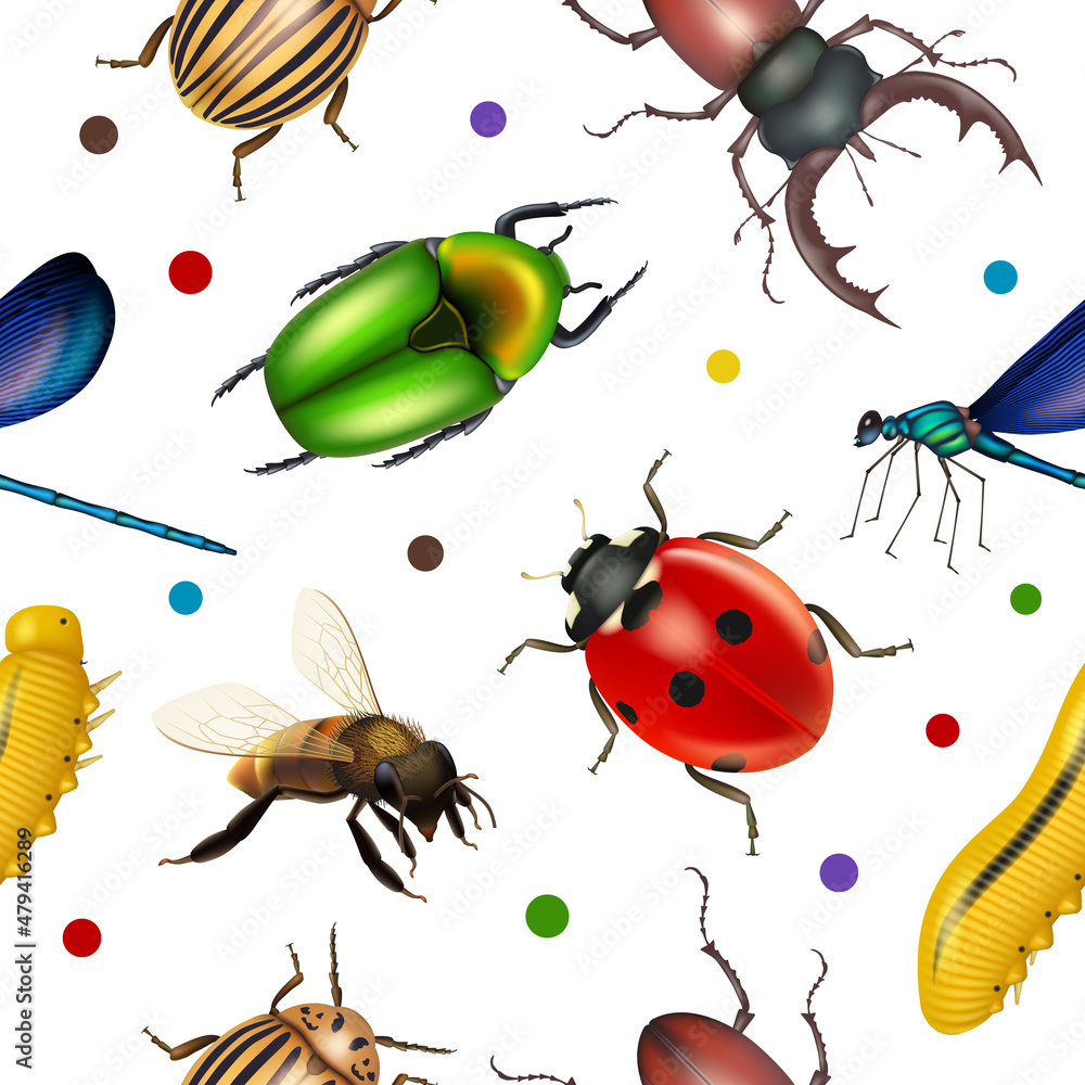 Poster insects pattern. bugs botanical flying insects flies decent vector seamless background for textile d
