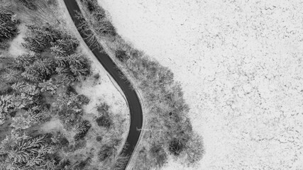 Road in a forrest during the winter season. High quality photo