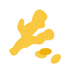 Piece of ginger root isolated on white background. Flat cartoon vector illustration