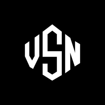 VSN letter logo design with polygon shape. VSN polygon and cube shape logo design. VSN hexagon vector logo template white and black colors. VSN monogram, business and real estate logo.