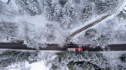 Road in a forrest during the winter season. High quality photo