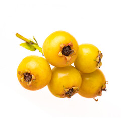 bunch of yellow how isolated on white