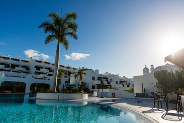 Palm tree with blue swimming pool