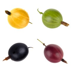 set of green, yellow, red and black gooseberry isolated on white