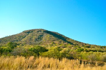 Beautiful view of mountain with trees and grass green and blue sky background.