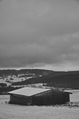 Fototapeta premium Winterlandschaft schwarz weiß