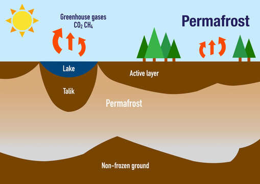 Infographic explaining what is permafrost