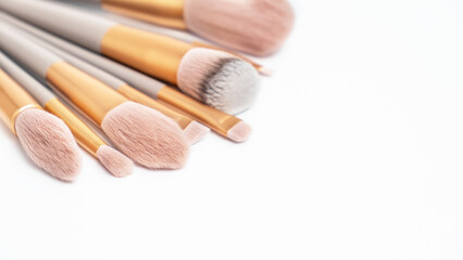 Professional makeup brushes on white background. Text space