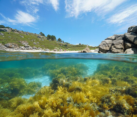 Fototapeta premium Spain, Galicia, coastline with sandy beach and rock, split level view over and under water surface, Eastern Atlantic ocean, Bueu, Pontevedra province