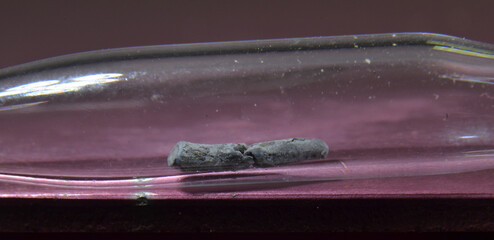 Microphoto of a sample of the periodic elementt No. 81: Thallium. The toxic metal is stored in a glass ampoule
