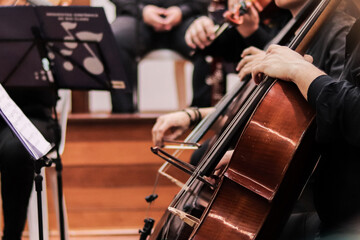 Homem tocando cello © ovelha cosmica