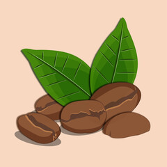 Coffee bean and Fresh Coffee Leaves  logo vector design elements. Organic coffee concept