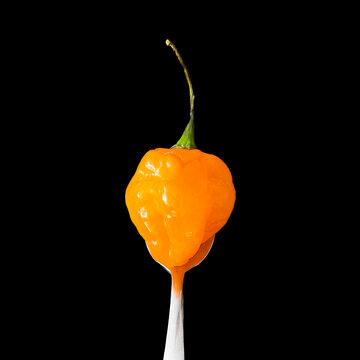 Scotch Bonnet Pepper On A Fork On A Black Background